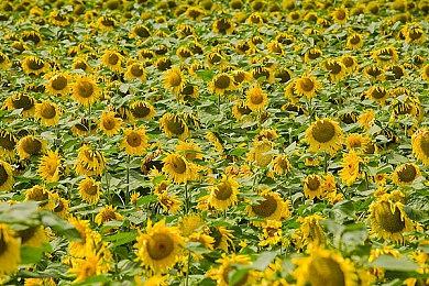 回合制策略游戏《战锤40K：行商浪人》全新DLC“虚空之影”正式发售获好评